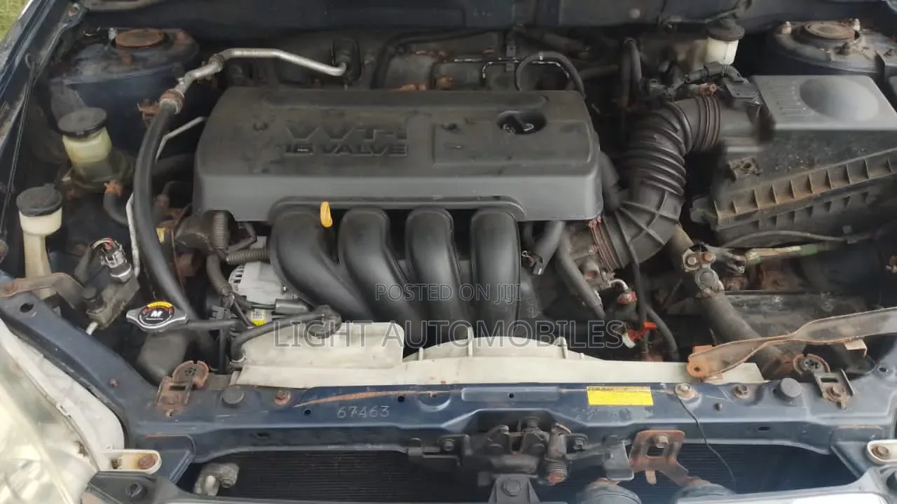 Toyota Corolla 2005 Blue