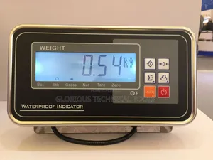 Scale Indicator