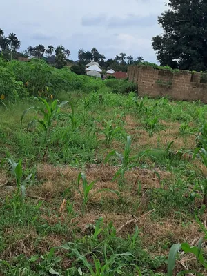 2 Plots of Land for Sale