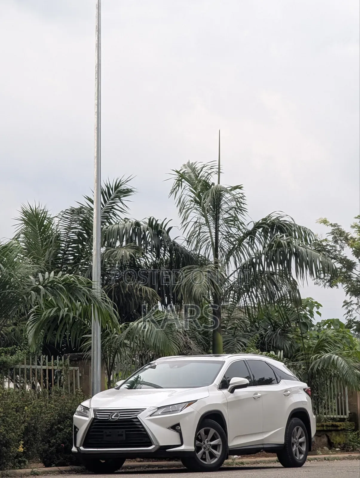 Lexus RX 2019 White