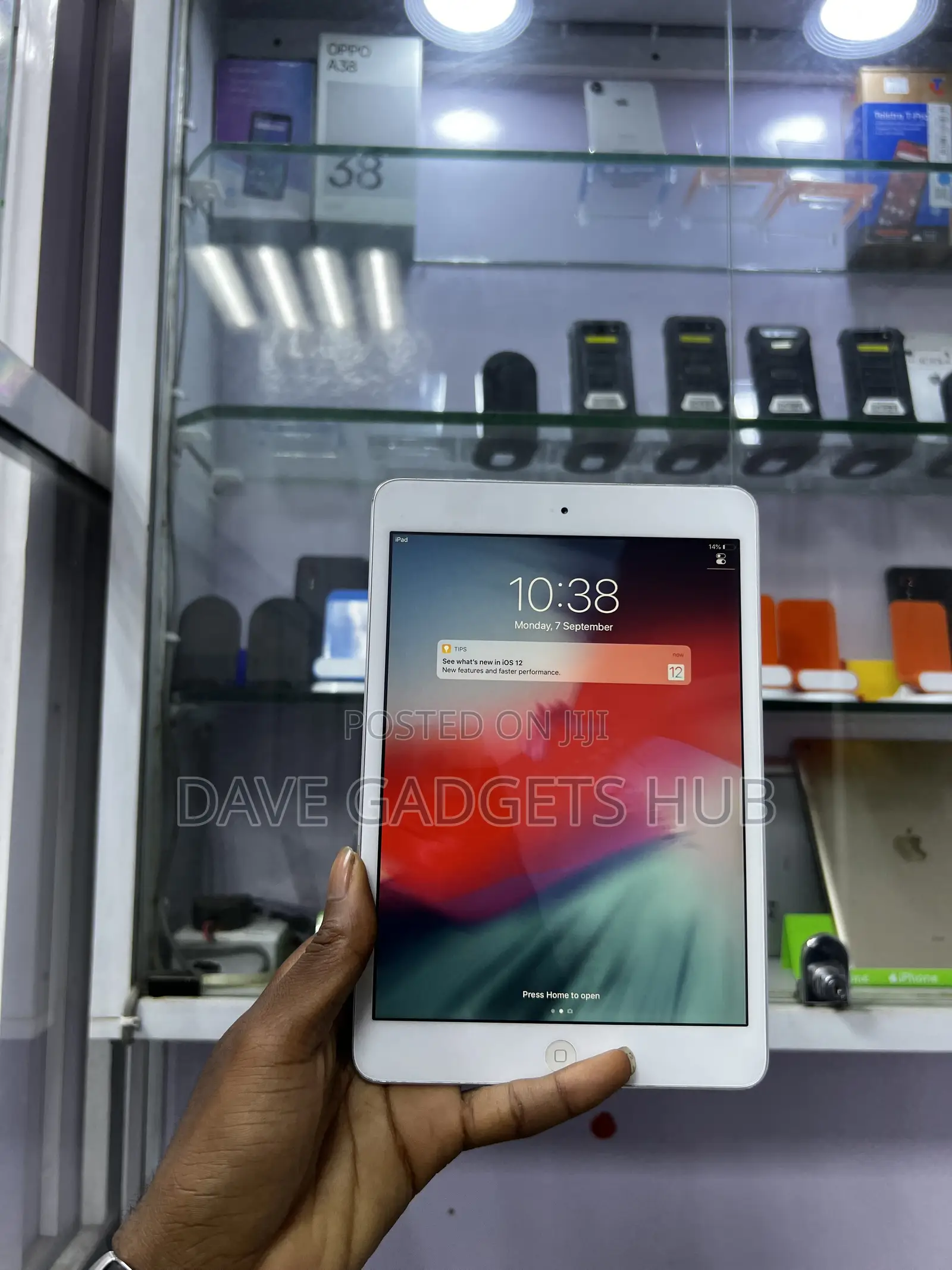 Apple iPad mini 2 16 GB White