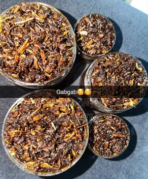 Scent Palor by Nana