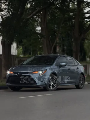 Toyota Corolla 2020 Gray