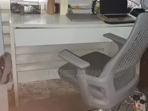Ergonomic Chair