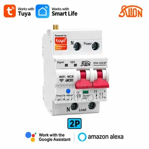 100A 2-Pole Tuya WiFi Smart Circuit Breaker