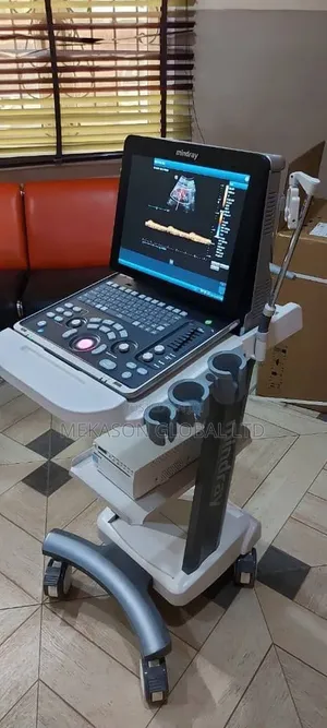 Z60 Mindray Ultrasound Scan