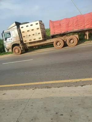 General Sell of Dangote and Bua Cement Nationwide