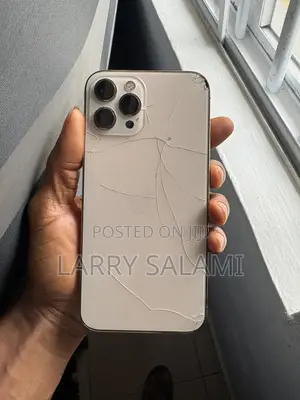 Apple iPhone 12 Pro Max 256 GB Gold