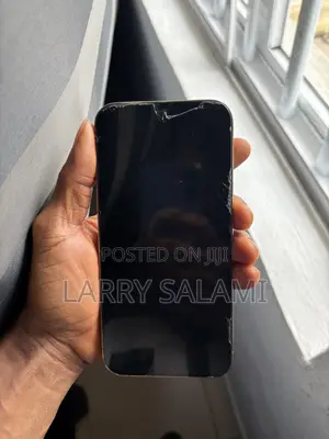 Apple iPhone 12 Pro Max 256 GB Gold