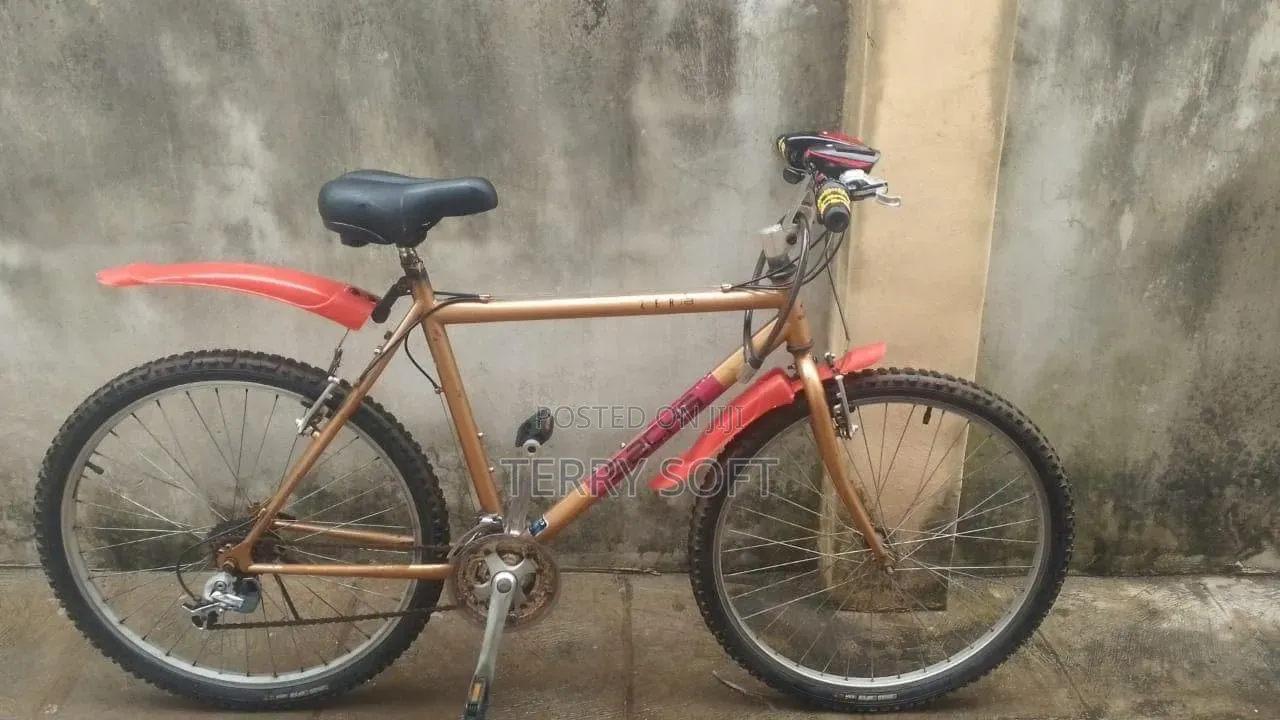 Adult Bicycle