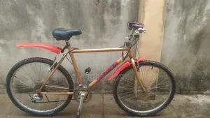 Adult Bicycle