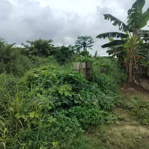 1 Plot of Land