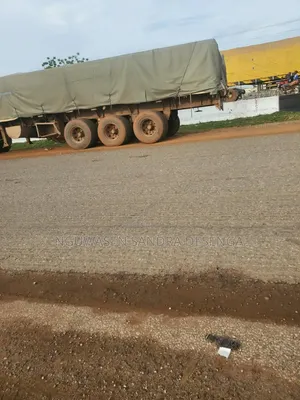 Major Supplier of Cement Both Dangote and Bua