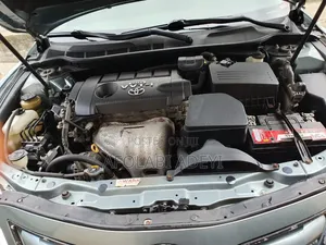 Toyota Camry XLE 4dr Sedan (2.5L 4cyl 6AM) 2010 Green