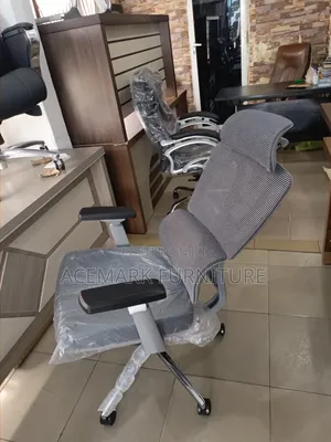 Executive Ergonomic Chair
