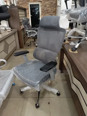Executive Ergonomic Chair