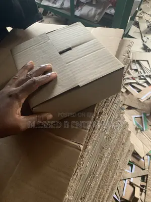 Packaging Carton