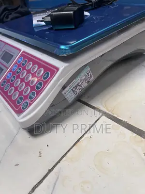 Camry Digital Price Computing Scale (30kg Capacity)