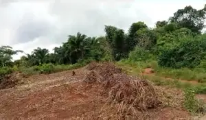 100 by 200 Ft Behind Junioriate, After Bishop Court Issele-Uku,
