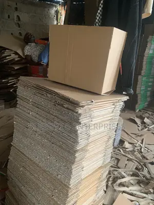 Medium Size Carton