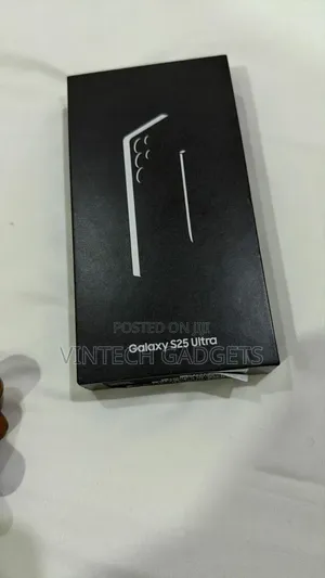 Samsung Galaxy S25 Ultra 256 GB Gray