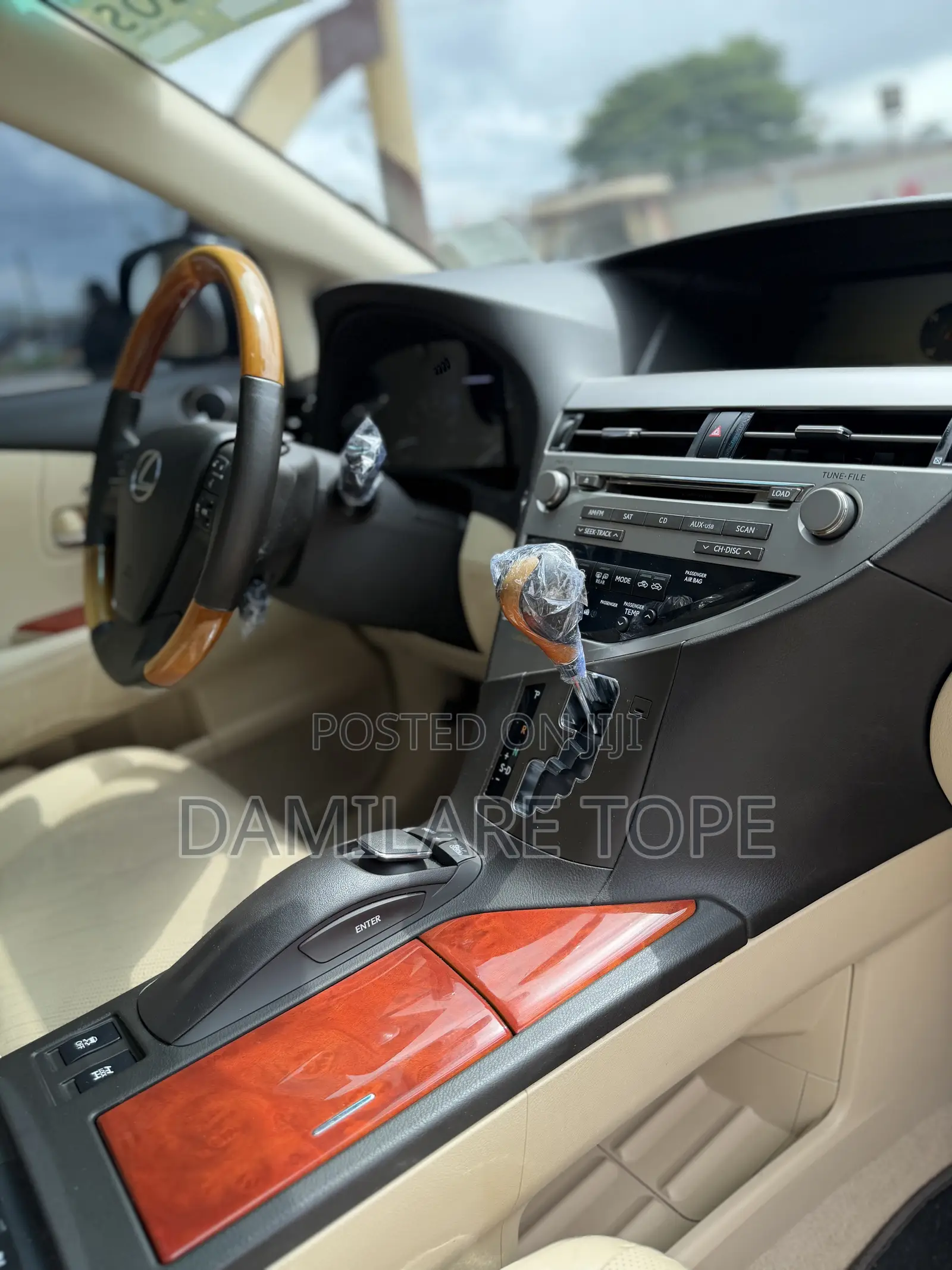 Lexus RX 2010