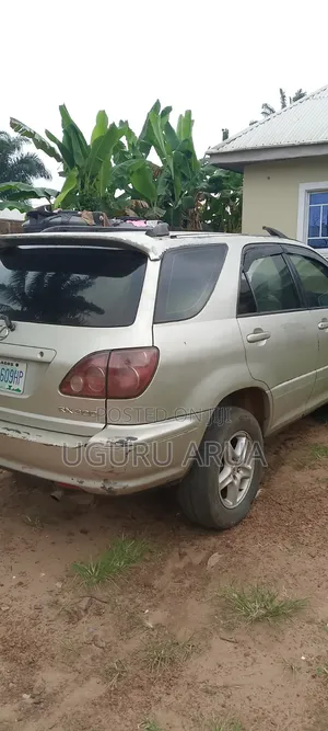 Lexus RX 2002 Gray