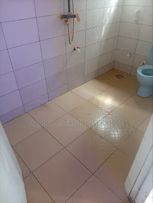 Cleaning Services