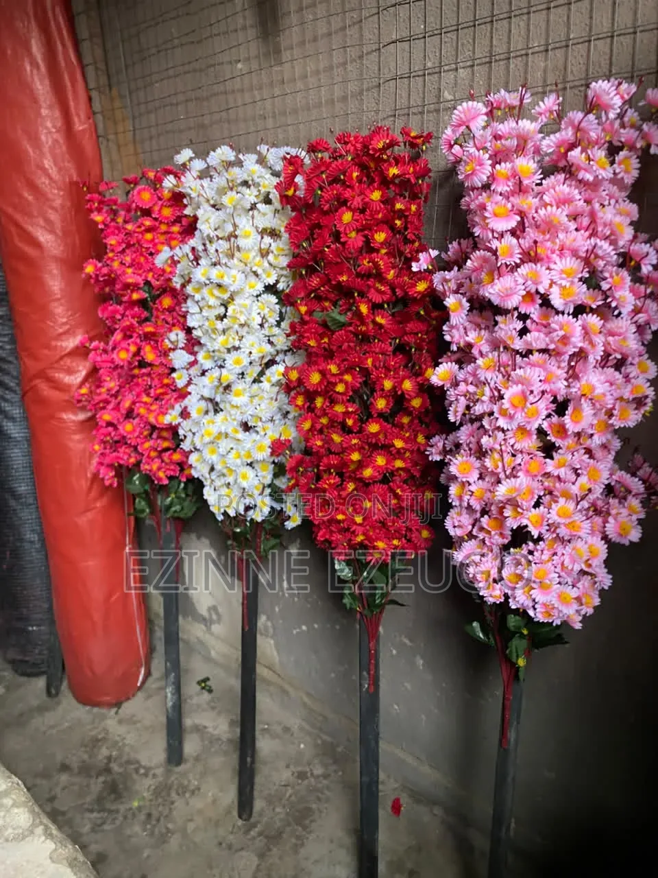 Quality Blossom Flower