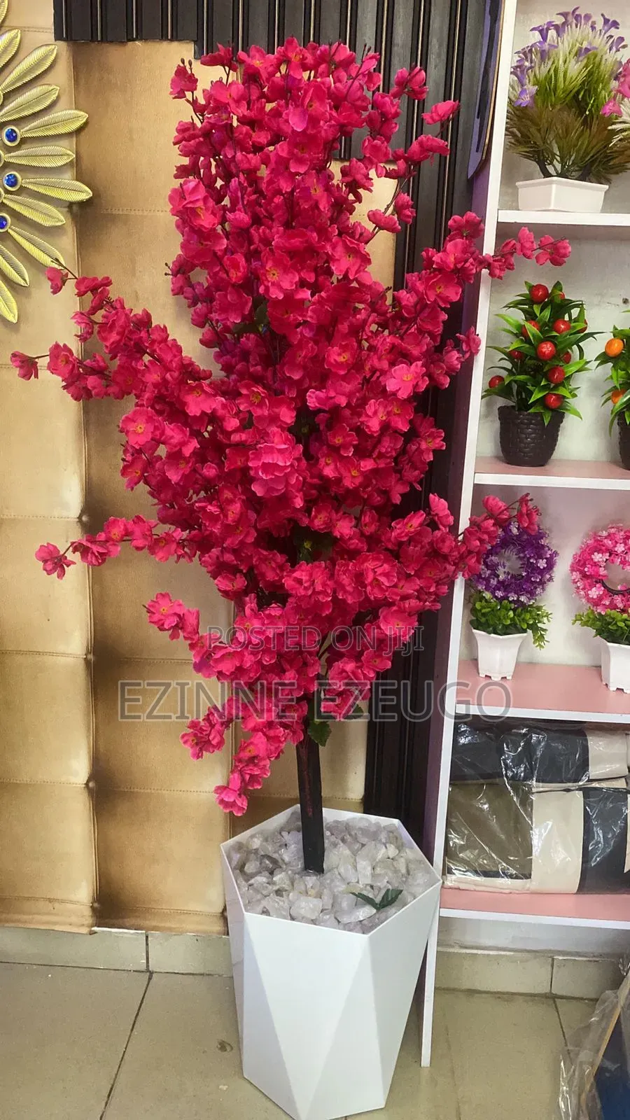 Quality Blossom Flower