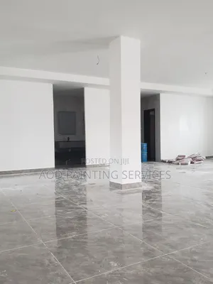 Excellent Interior Painting Perfect Wall Skimming