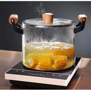 Heat Resistant Borosilicate Glass Pot With Lid(4.5L)