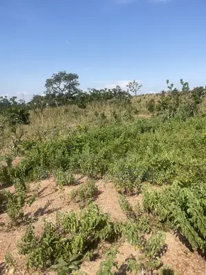 Spacious Residential Land for Sale