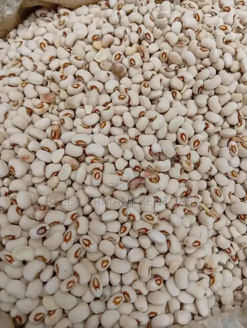 Foodstuffs