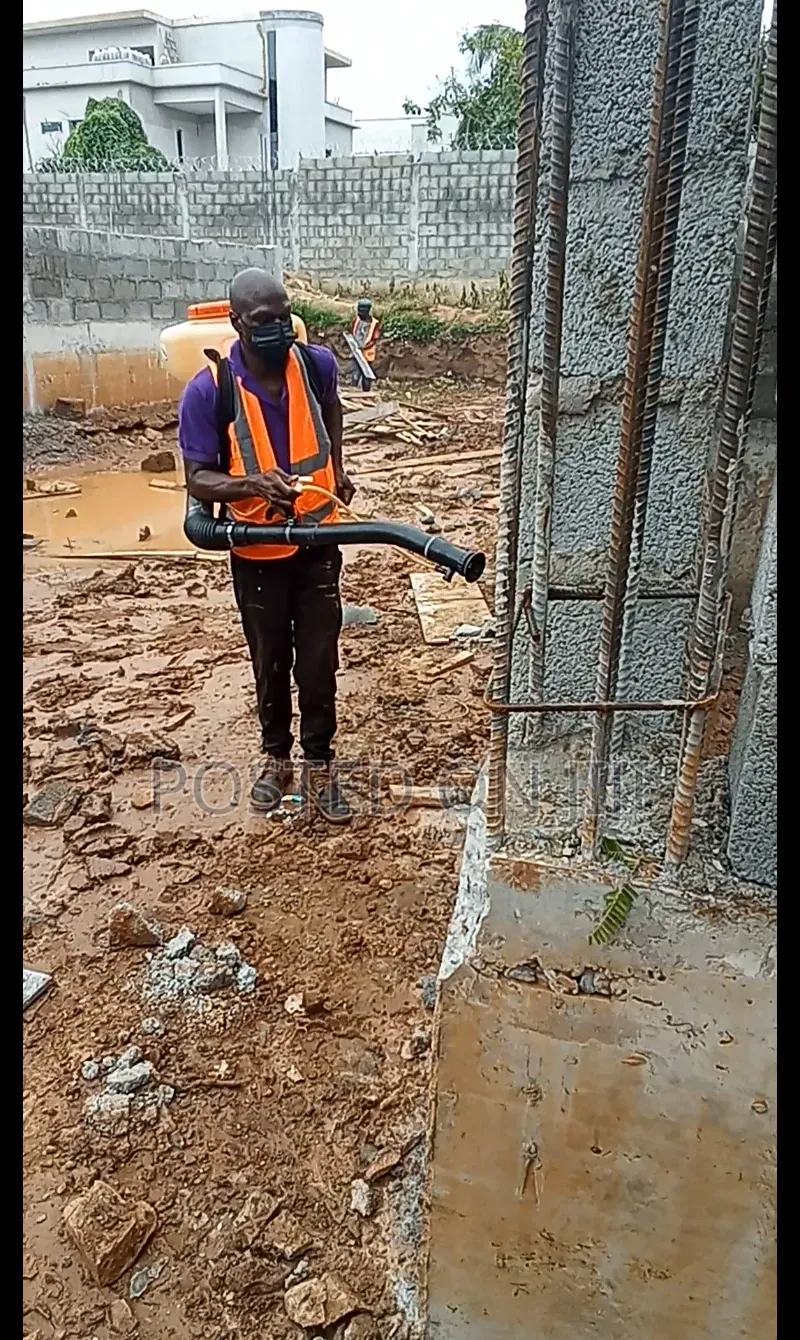 Termite Control Service