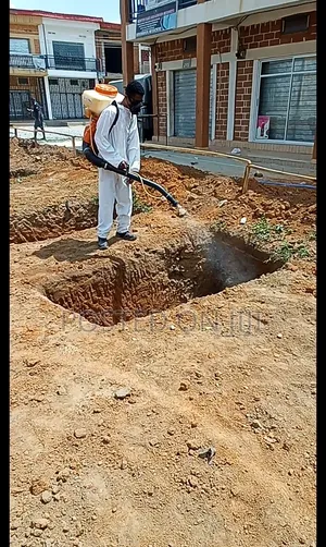 Termite Control Service
