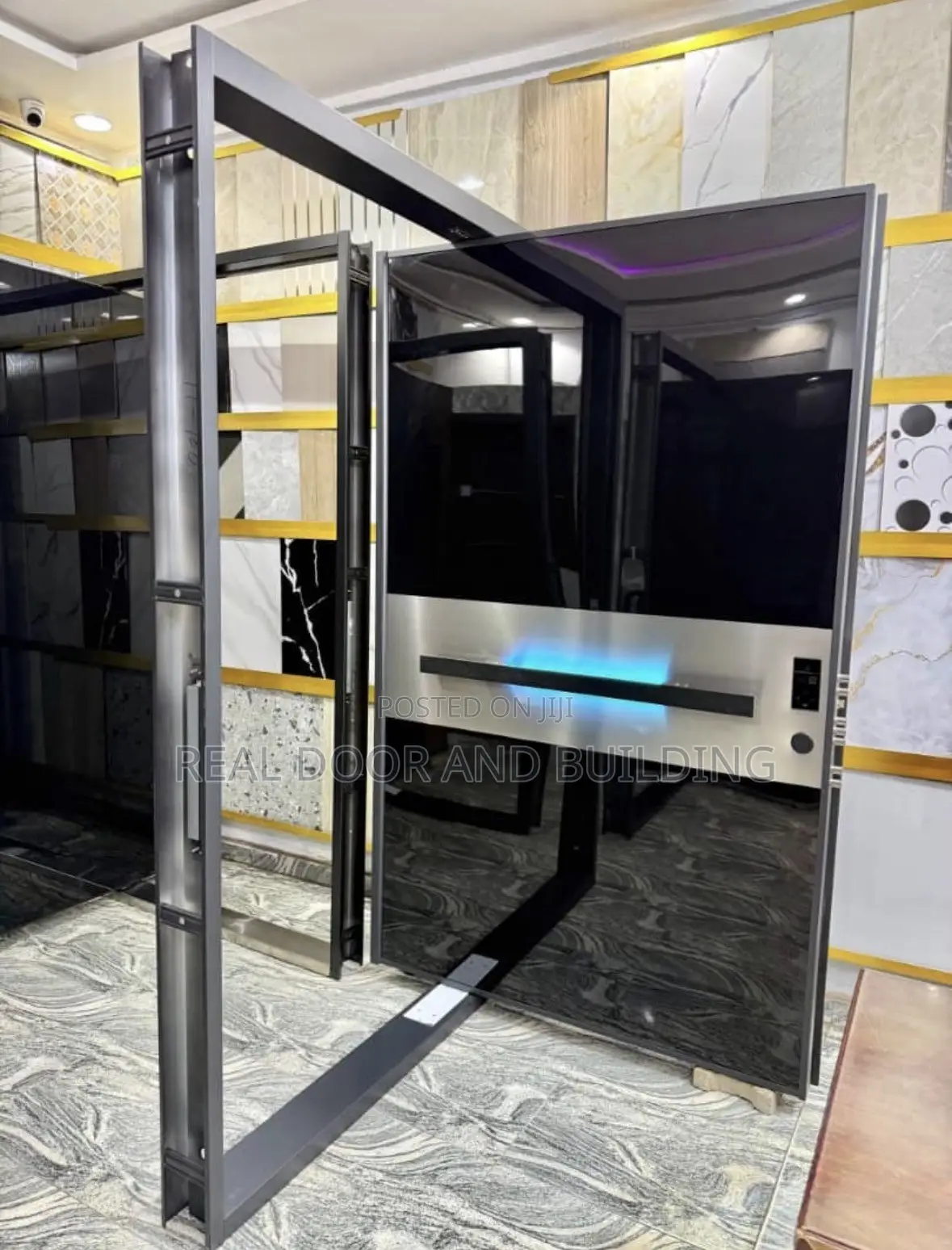 High Quality Luxury Pivot Security Door (738la)
