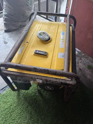 Senwei Generator