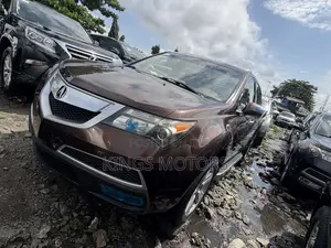 Acura MDX 2010 Brown