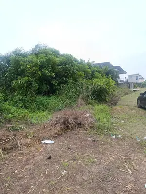 Distressed Juicy Dried Plots of Land for Sale