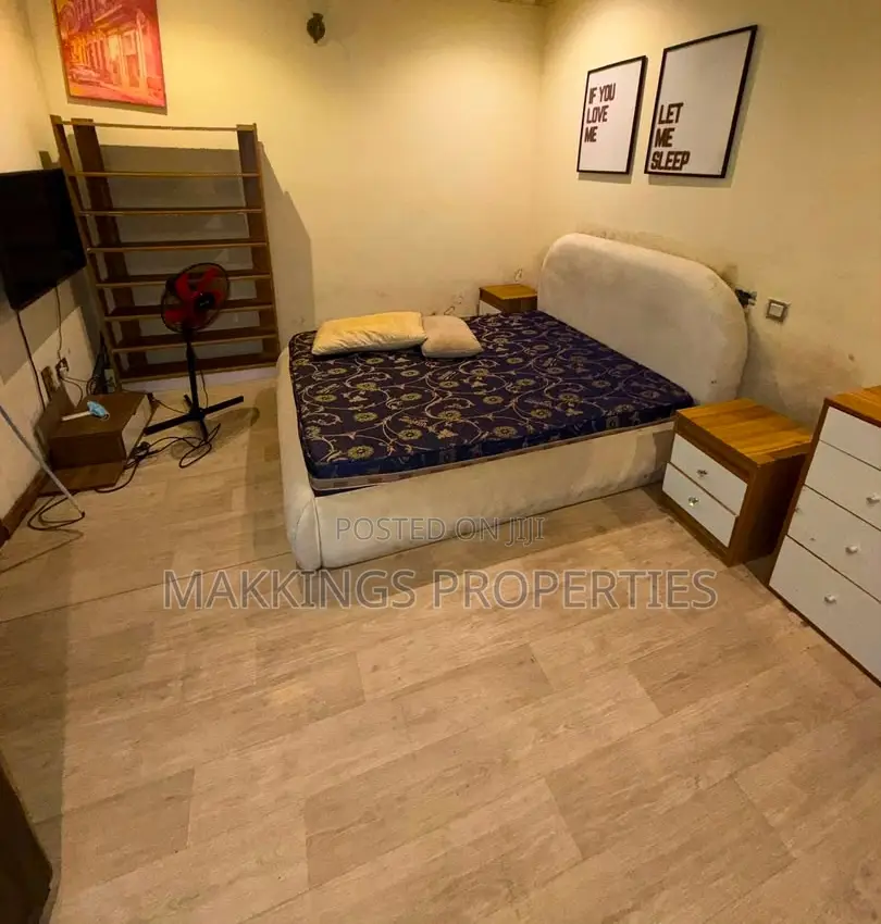 Furnished Mini Flat in Ikate for rent