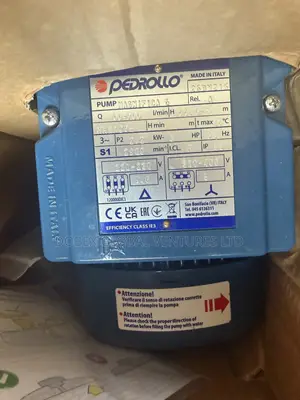 3hp Pedrollo Swimming Pool Pump