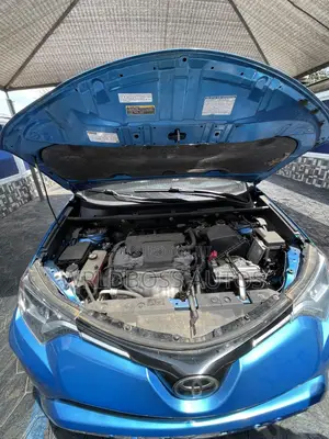 Toyota RAV4 XLE AWD (2.5L 4cyl 6A) 2017 Blue