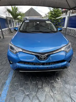 Toyota RAV4 XLE AWD (2.5L 4cyl 6A) 2017 Blue