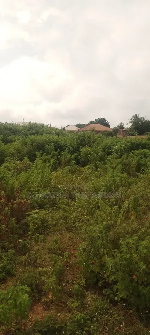 Land Available at Kogi State University Kabba