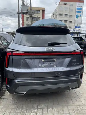 New JAC JS4 2025 Gray