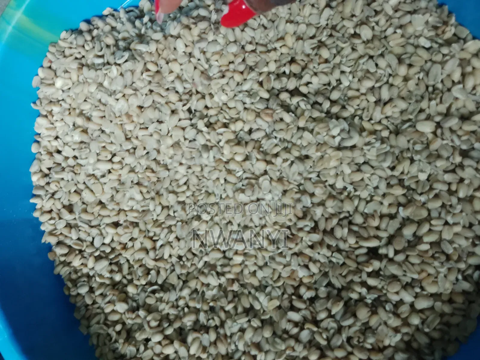 Ukwa (Breadfruit) 2kg