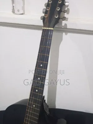 Acoustic Guitar
