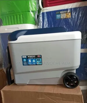 40 Quarts Igloo Cooler