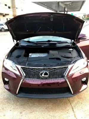 Lexus RX 2014 Burgundy